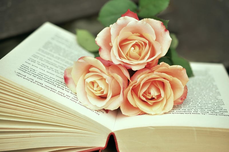 Book of Knowledge